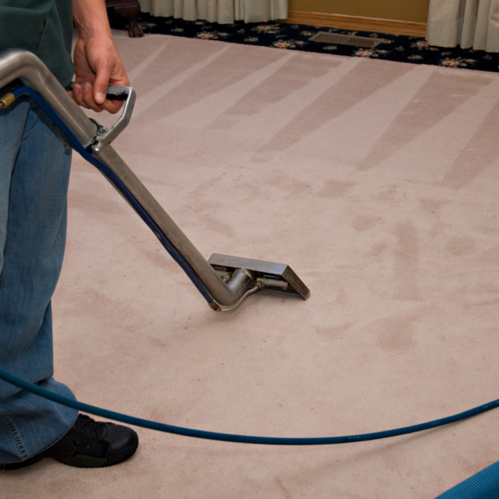 Cleaning carpet.